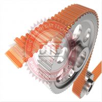 dây curoa bando Ribbed double timing belt PU